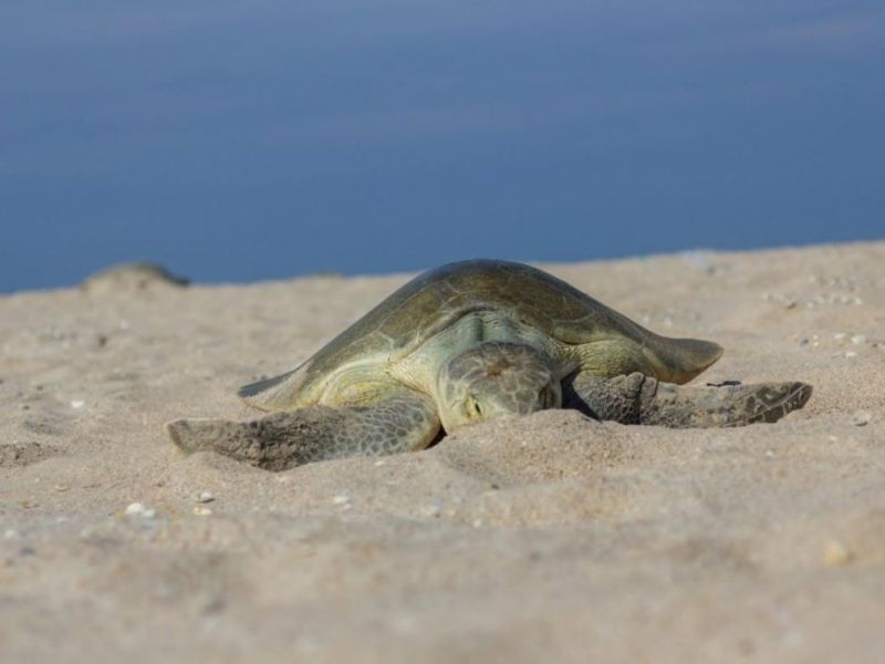 Otra alerta en las playas de Tamaulipas