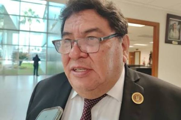 Piden a Paty asumir responsabilidad por irregularidades en El Mante y no deslindarse