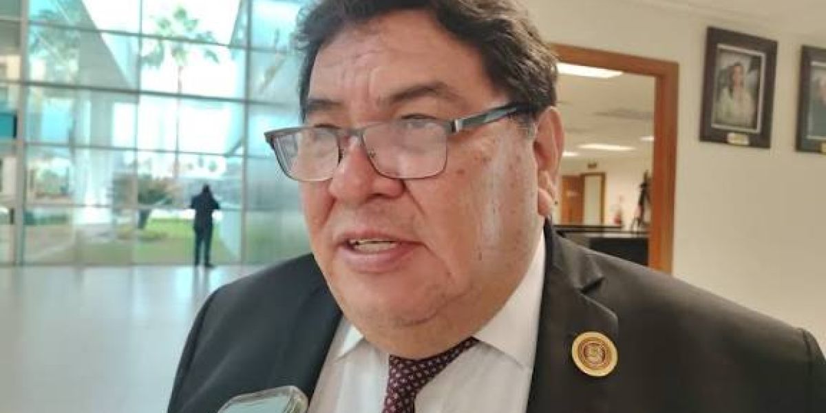 Piden a Paty asumir responsabilidad por irregularidades en El Mante y no deslindarse