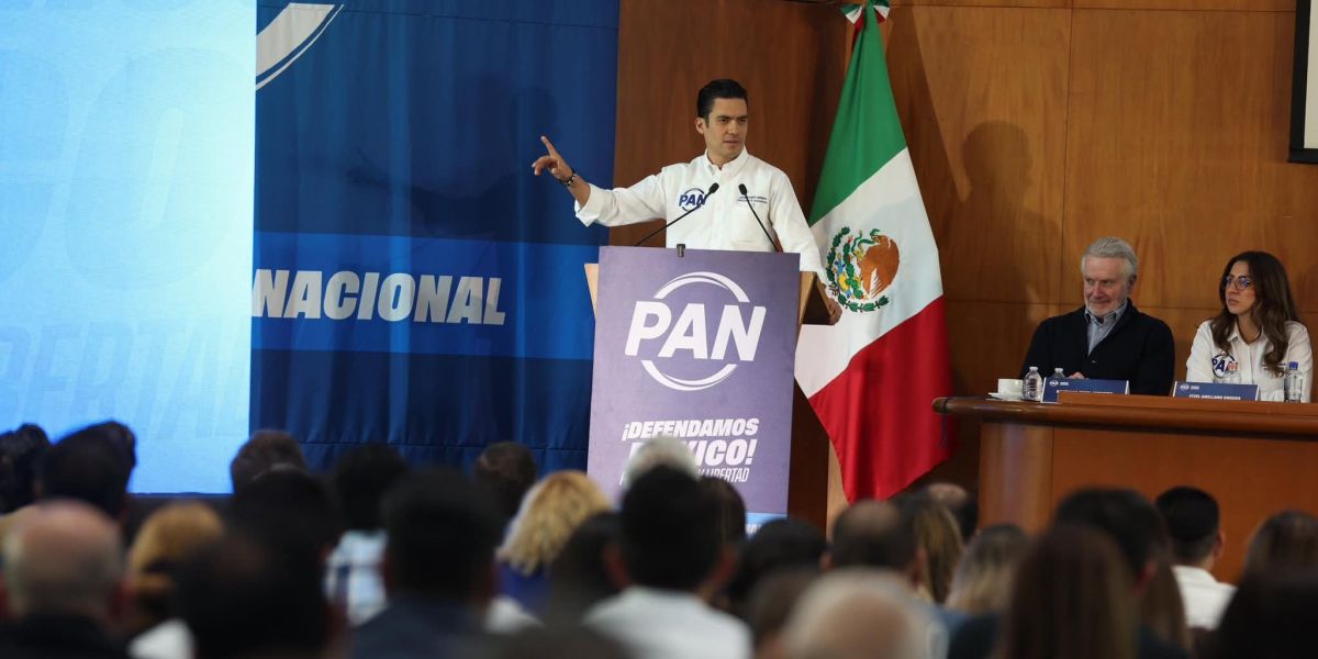 CEN interviene proceso para renovar dirigencia del PAN