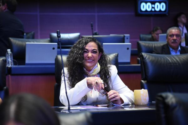 Senado impulsa la Ley para el Fomento de la Inversión en Infraestructura Estratégica para el Desarrollo con Bienestar: Olga Sosa