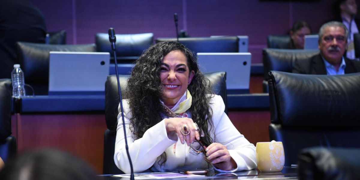 Senado impulsa la Ley para el Fomento de la Inversión en Infraestructura Estratégica para el Desarrollo con Bienestar: Olga Sosa