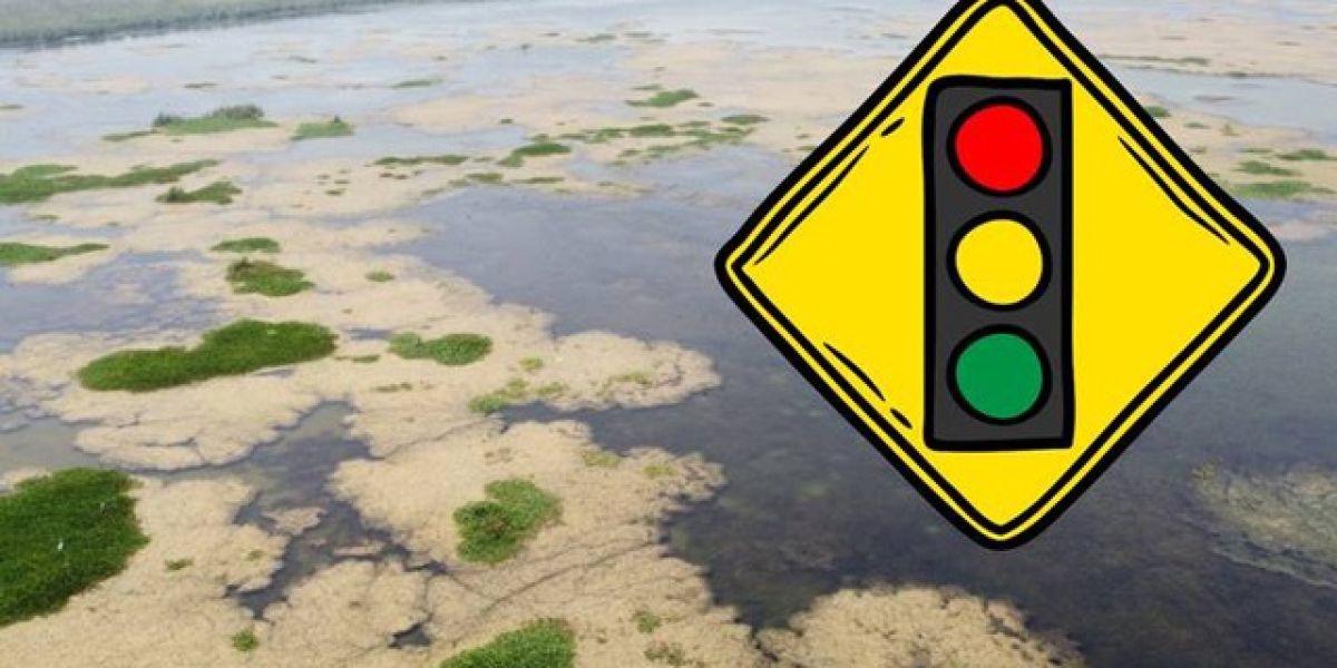 Actualizan Semáforo del Agua y encienden focos rojos en varias regiones