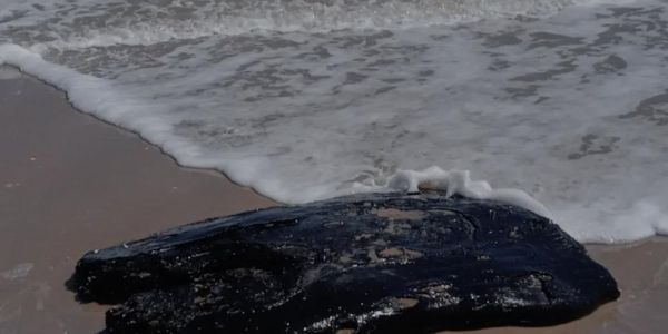 Mantienen contención por hidrocarburo en playas de Tamaulipas