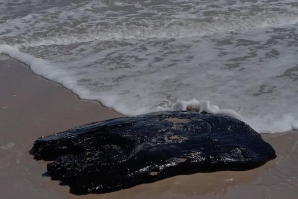 Mantienen contención por hidrocarburo en playas de Tamaulipas