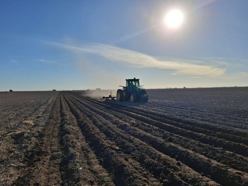 Crisis en el campo: sin sembrar más de 400 mil hectáreas