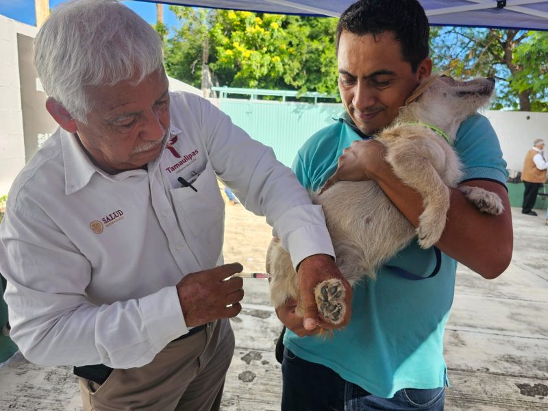 Llaman a vacunar mascotas; crece riesgo de rabia por fauna silvestre