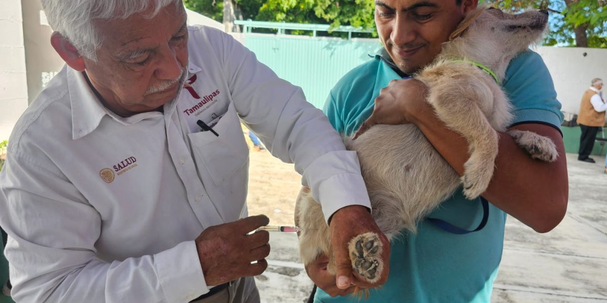 Llaman a vacunar mascotas; crece riesgo de rabia por fauna silvestre