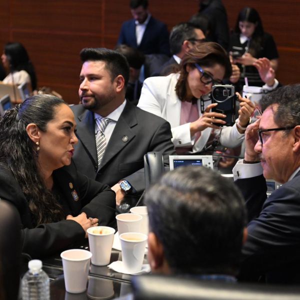 Senado aprueba crear la Nueva ley general en materia de feminicidio; no más feminicidios, no más violencias en contra de las mujeres:Olga Sosa