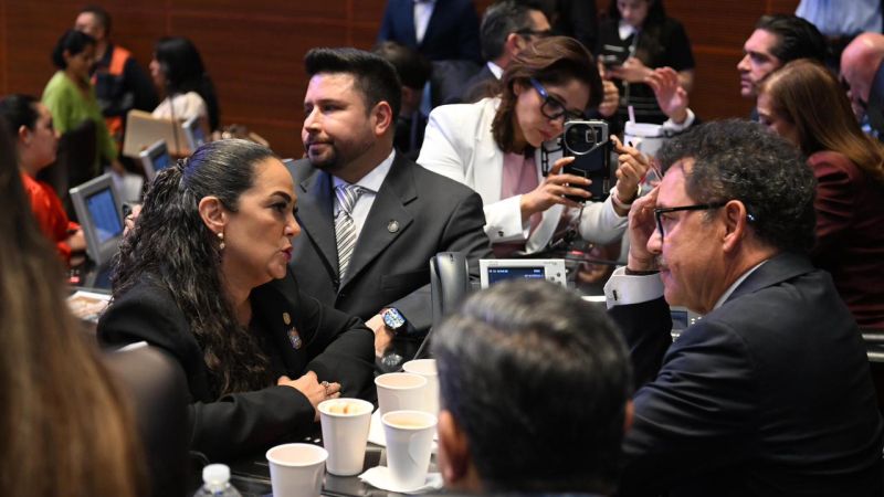 Senado aprueba crear la Nueva ley general en materia de feminicidio; no más feminicidios, no más violencias en contra de las mujeres:Olga Sosa