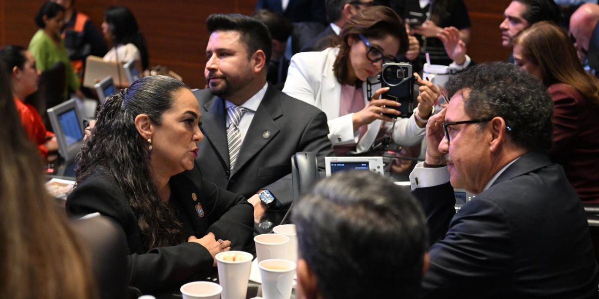 Senado aprueba crear la Nueva ley general en materia de feminicidio; no más feminicidios, no más violencias en contra de las mujeres:Olga Sosa