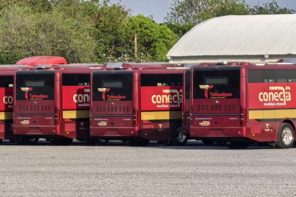 “Conecta” ya está en Victoria: alistan arranque de nuevo modelo de transporte