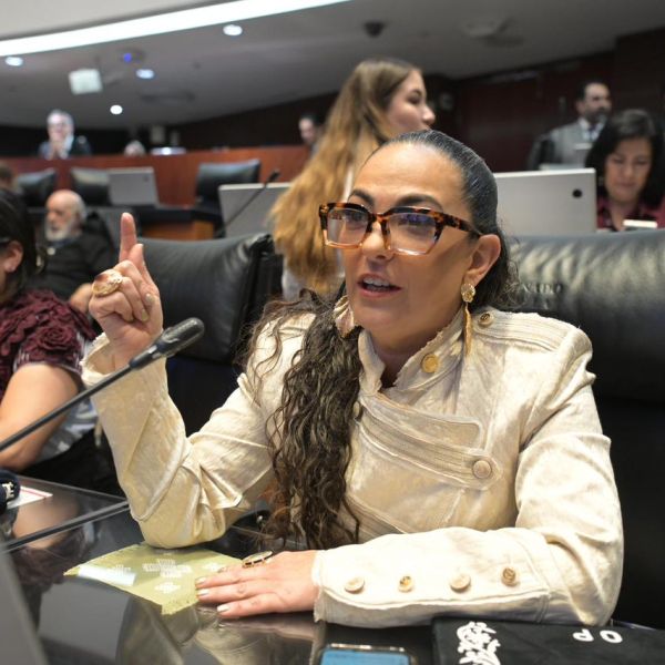 Senadora Olga Sosa presenta iniciativa para fortalecer la seguridad del autotransporte de carga