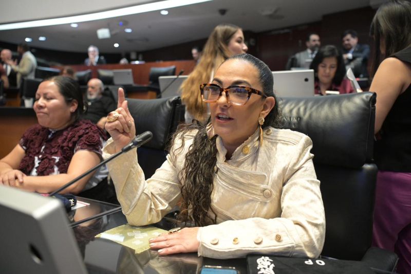 Senadora Olga Sosa presenta iniciativa para fortalecer la seguridad del autotransporte de carga