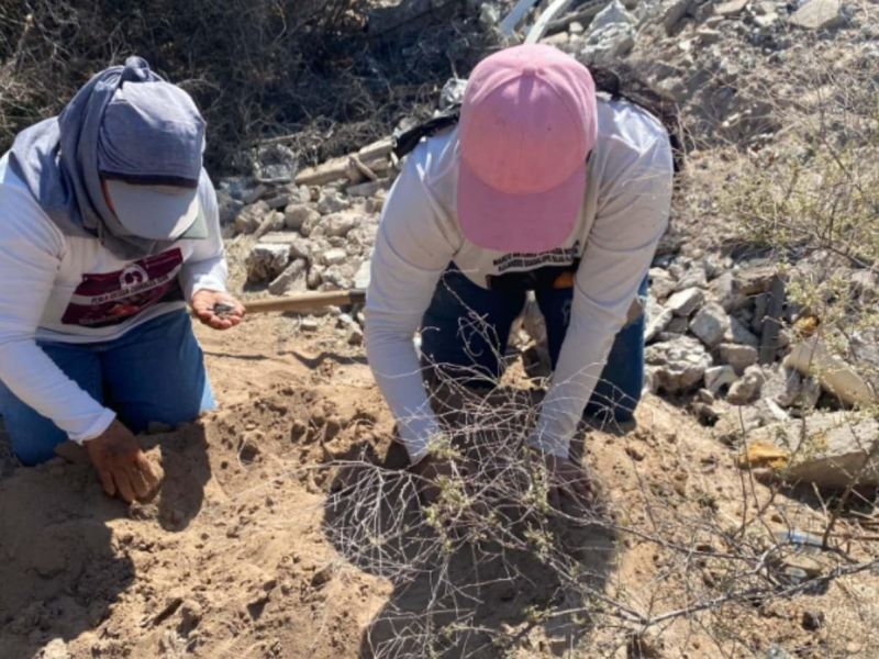 Crecen municipios con hallazgo de restos humanos en Tamaulipas