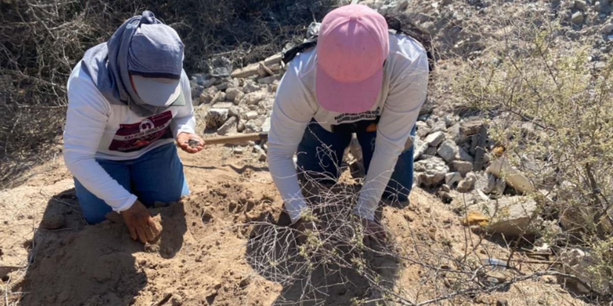 Crecen municipios con hallazgo de restos humanos en Tamaulipas