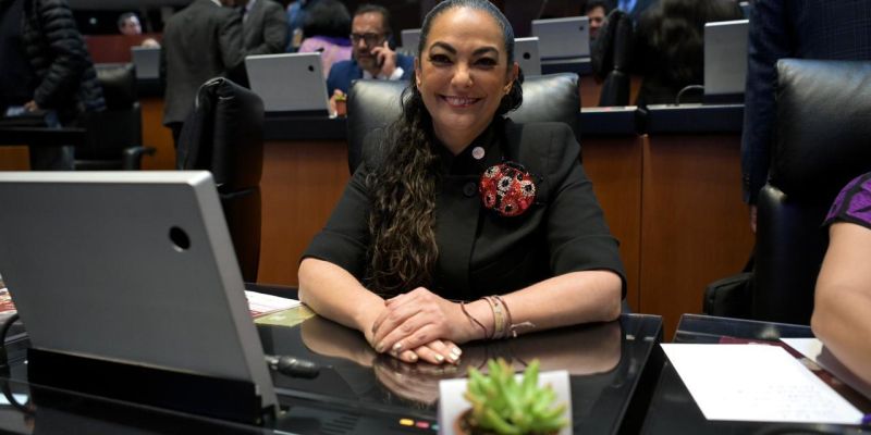 Senadora Olga Sosa presenta iniciativas en materia de accesibilidad cultural y aprovechamiento de libros de texto gratuitos