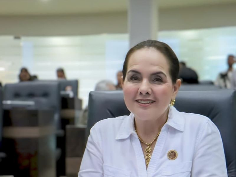 Van contra la “piratería” de títulos patito en Tamaulipas