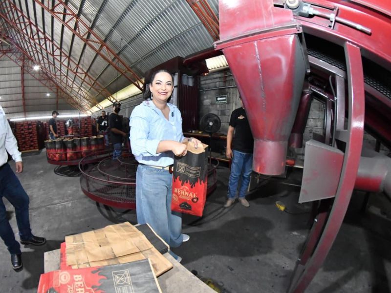Senadora Olga Sosa reconoce como ejemplo nacional programa de carbón vegetal Hecho en Tamaulipas