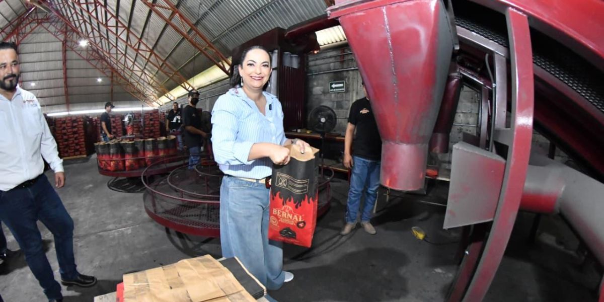 Senadora Olga Sosa reconoce como ejemplo nacional programa de carbón vegetal Hecho en Tamaulipas