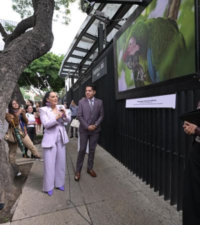 Olga Sosa lleva exposición fotográfica “Tamaulipas, orgullo que se lleva en el corazón” al Senado de la República