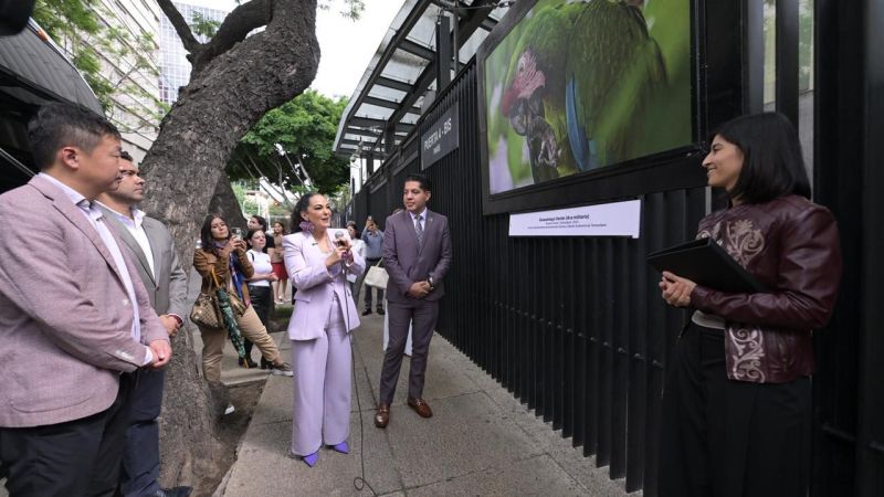 Olga Sosa lleva exposición fotográfica “Tamaulipas, orgullo que se lleva en el corazón” al Senado de la República