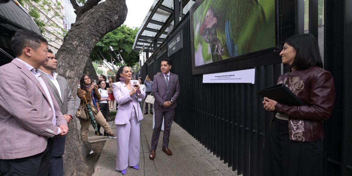 Olga Sosa lleva exposición fotográfica “Tamaulipas, orgullo que se lleva en el corazón” al Senado de la República