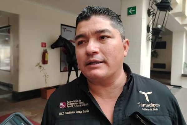 Apostarán por difusión masiva para frenar avance del gusano barrenador en Tamaulipas