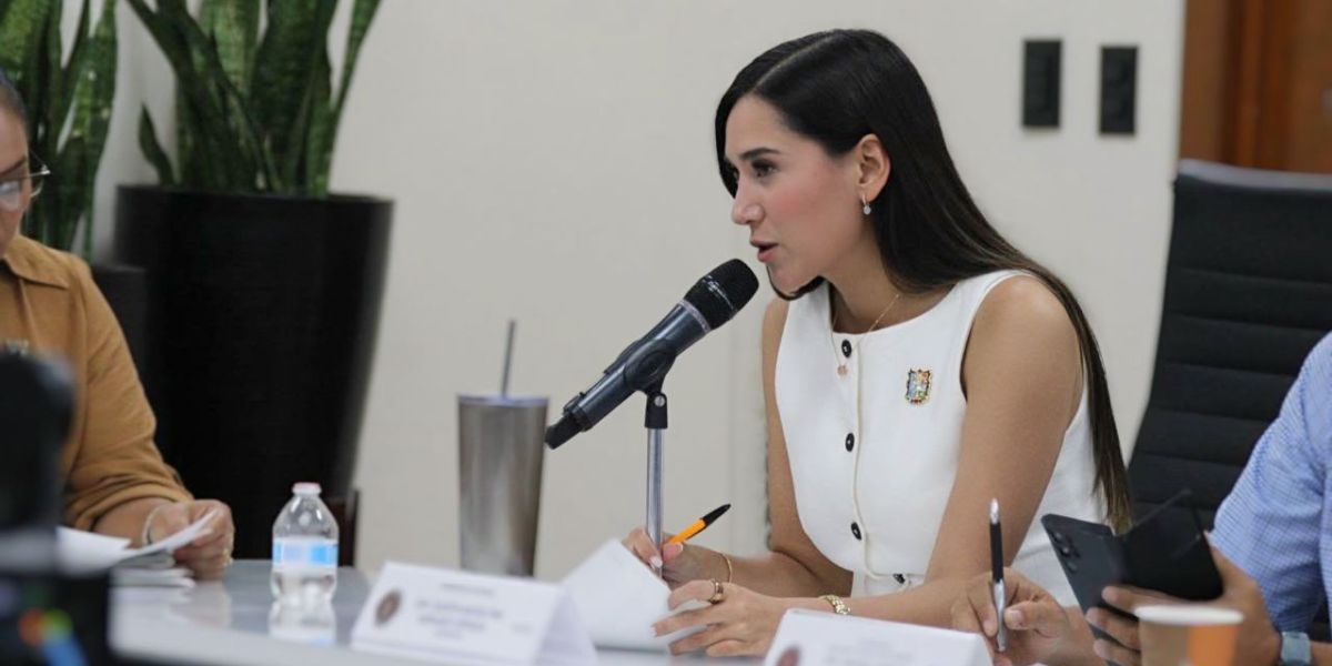 Rehabilitar la red municipal, indispensable para que el acueducto resuelva el abasto de agua :Katalyna Mendez
