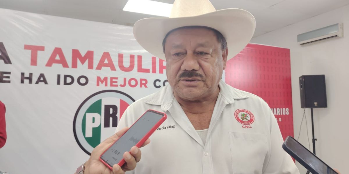 Se hunde la producción de sorgo en Tamaulipas; prevén caída de hasta 60%
