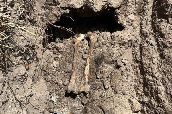 Localizan fosa clandestina con restos óseos en Reynosa