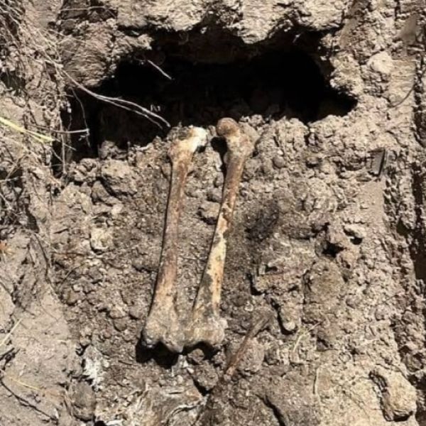 Localizan fosa clandestina con restos óseos en Reynosa