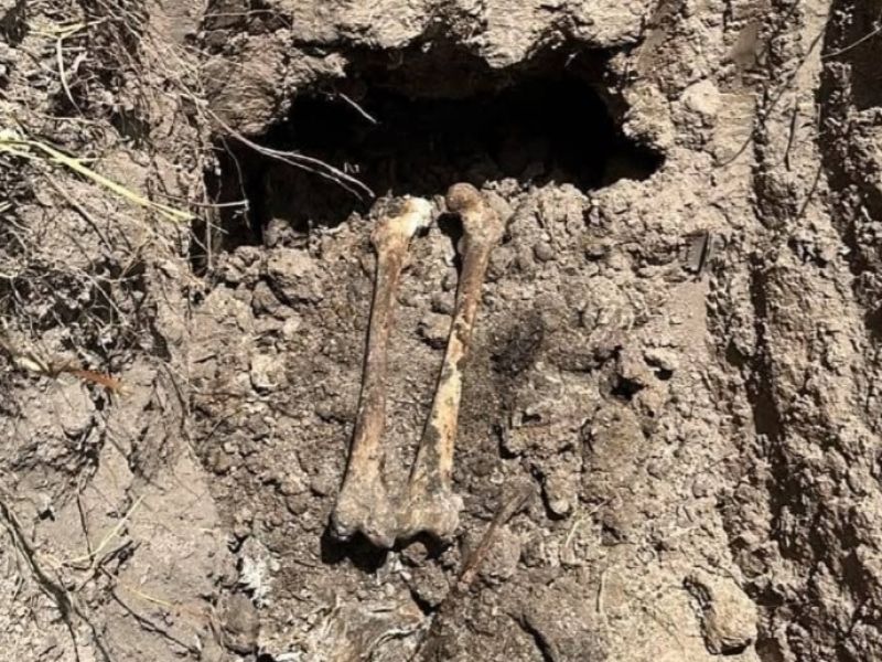 Localizan fosa clandestina con restos óseos en Reynosa