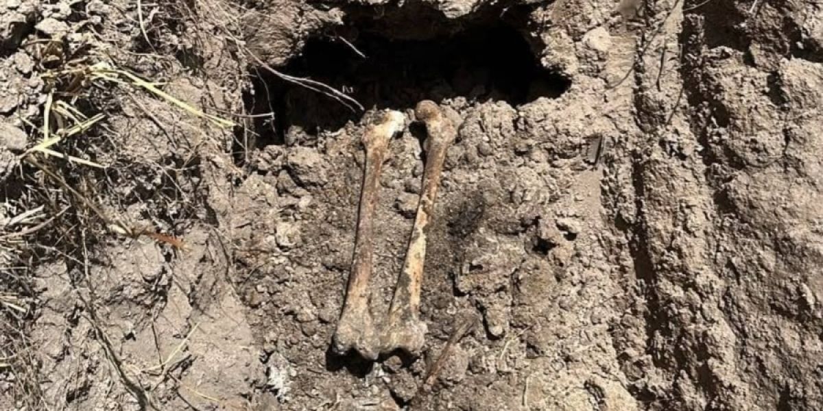 Localizan fosa clandestina con restos óseos en Reynosa