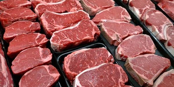 UGRT insiste que el gusano barrenador no pone en riesgo el consumo de carne