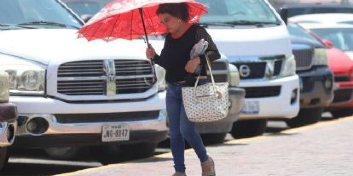 Pronostican cinco días de intenso calor y fuertes vientos en la frontera