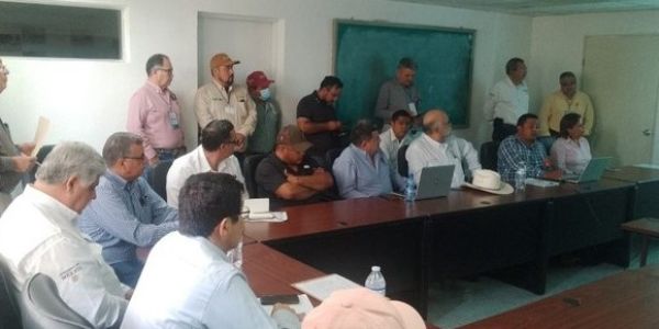 Impulsan al ajonjolí como alternativa rentable ante la crisis hídrica en el norte de Tamaulipas