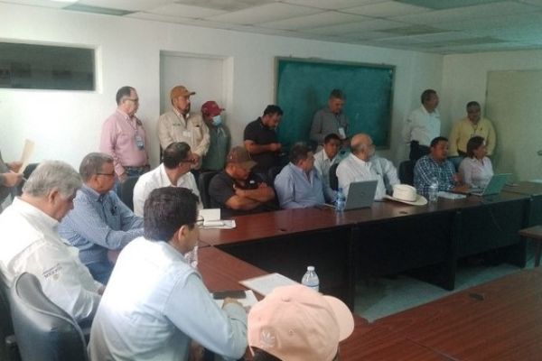 Impulsan al ajonjolí como alternativa rentable ante la crisis hídrica en el norte de Tamaulipas
