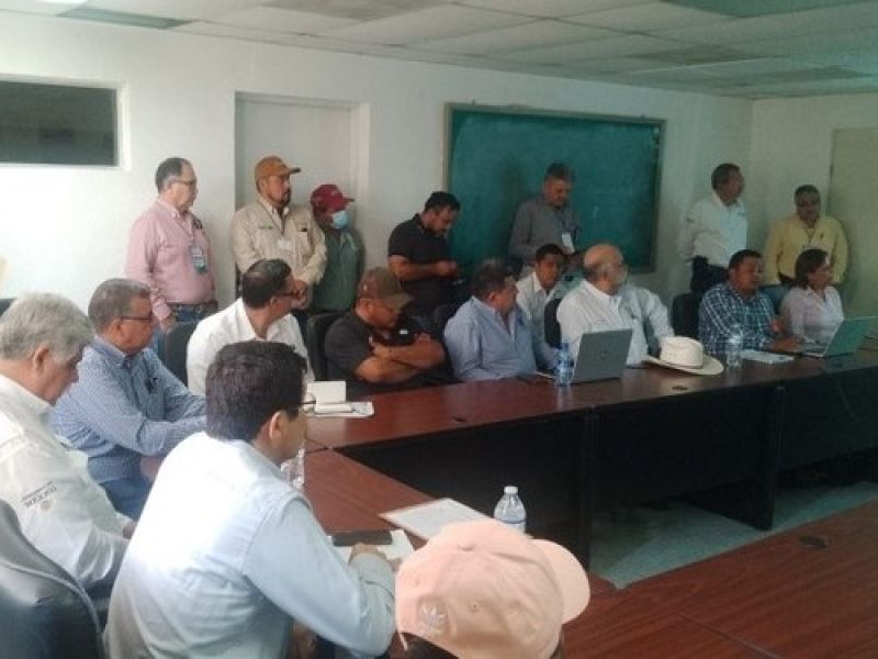 Impulsan al ajonjolí como alternativa rentable ante la crisis hídrica en el norte de Tamaulipas