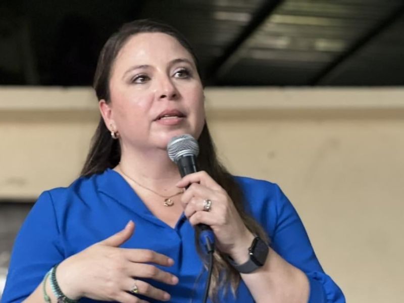 PAN buscará perfiles ganadores para recuperar municipios en 2027