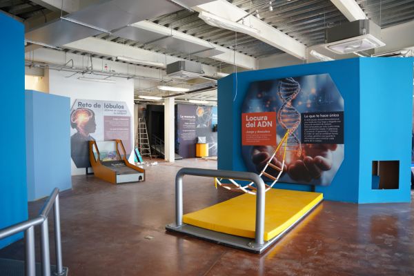 Carmen Lilia Canturosas hace realidad un nuevo espacio para la ciencia; avanza hacia su apertura el museo y planetario