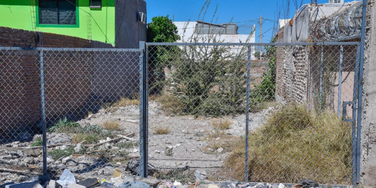 Reynosa y Río Bravo concentran la mayor cantidad de lotes baldíos en Tamaulipas