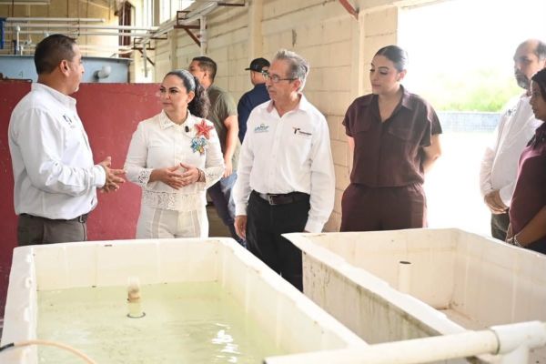La UTMART en La Pesca, referente de educación y emprendimiento: senadora Olga Sosa