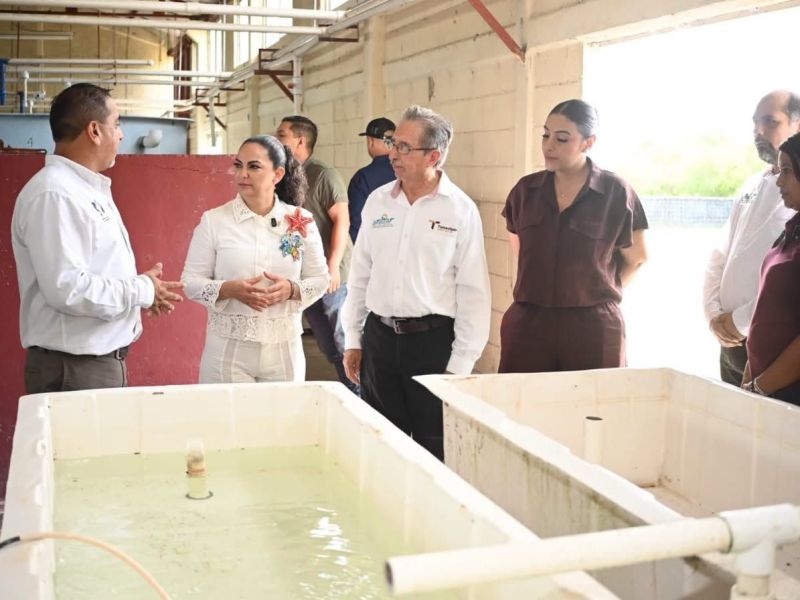 La UTMART en La Pesca, referente de educación y emprendimiento: senadora Olga Sosa