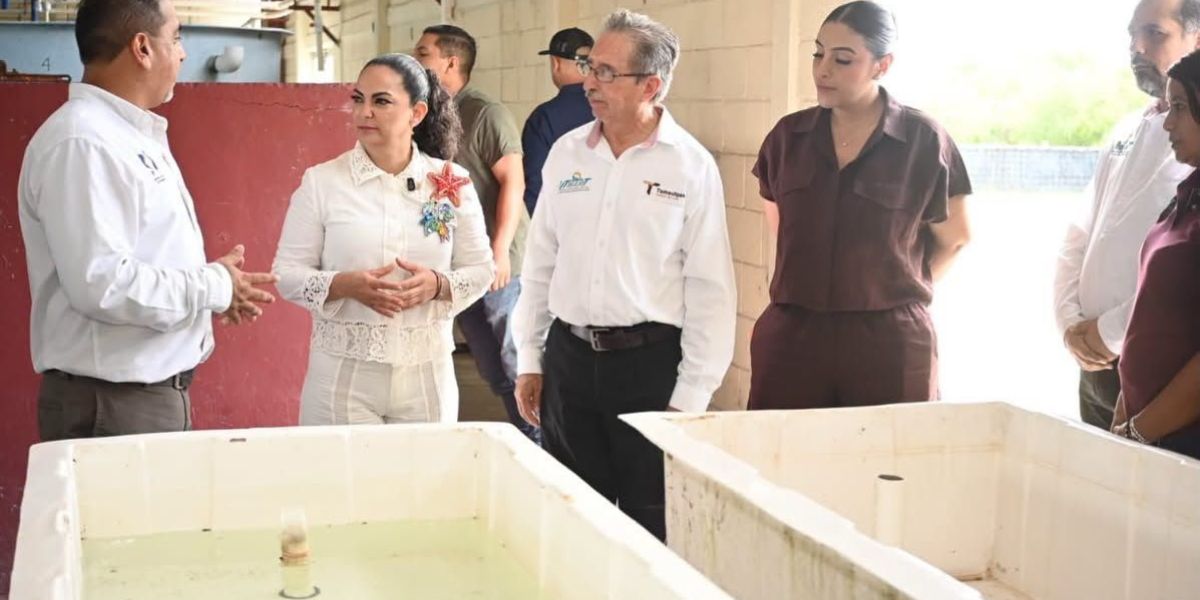 La UTMART en La Pesca, referente de educación y emprendimiento: senadora Olga Sosa