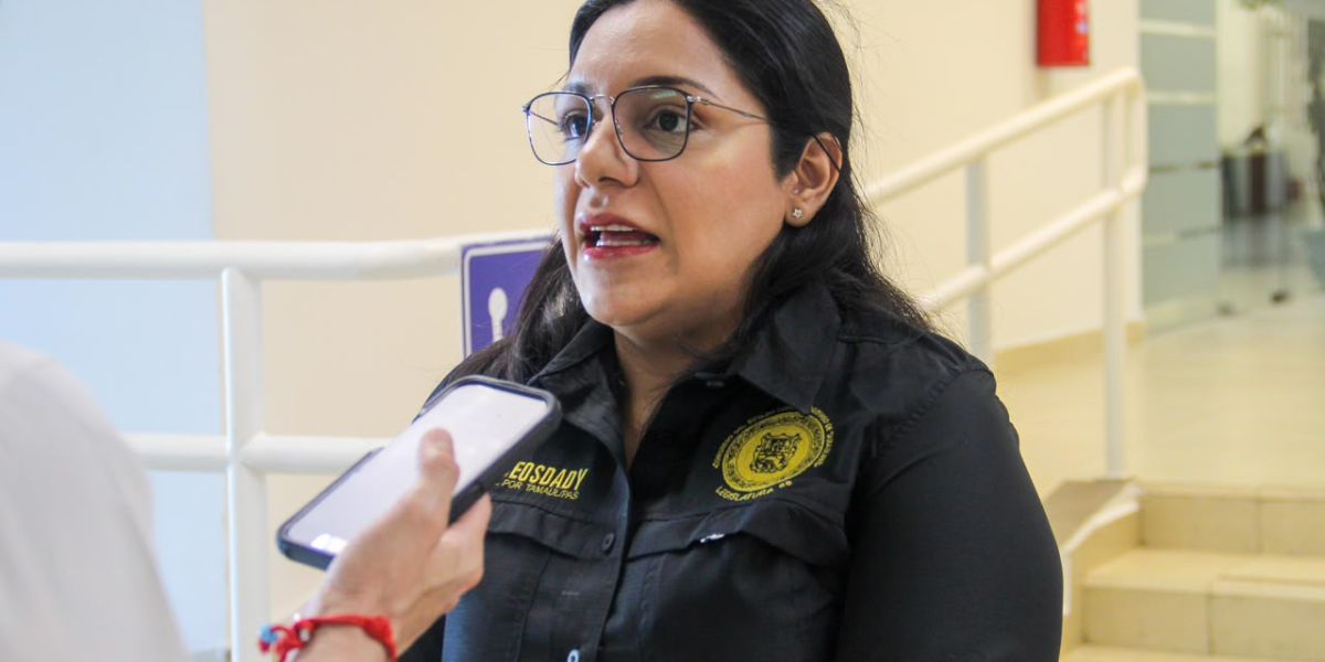 Exigen evitar simulación en candidaturas de grupos vulnerables