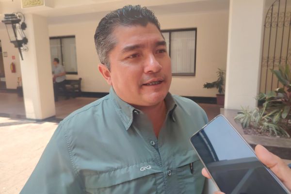 Piden no echar las campanas al vuelo por reapertura de exportación de ganado; Tamaulipas aún deberá esperar