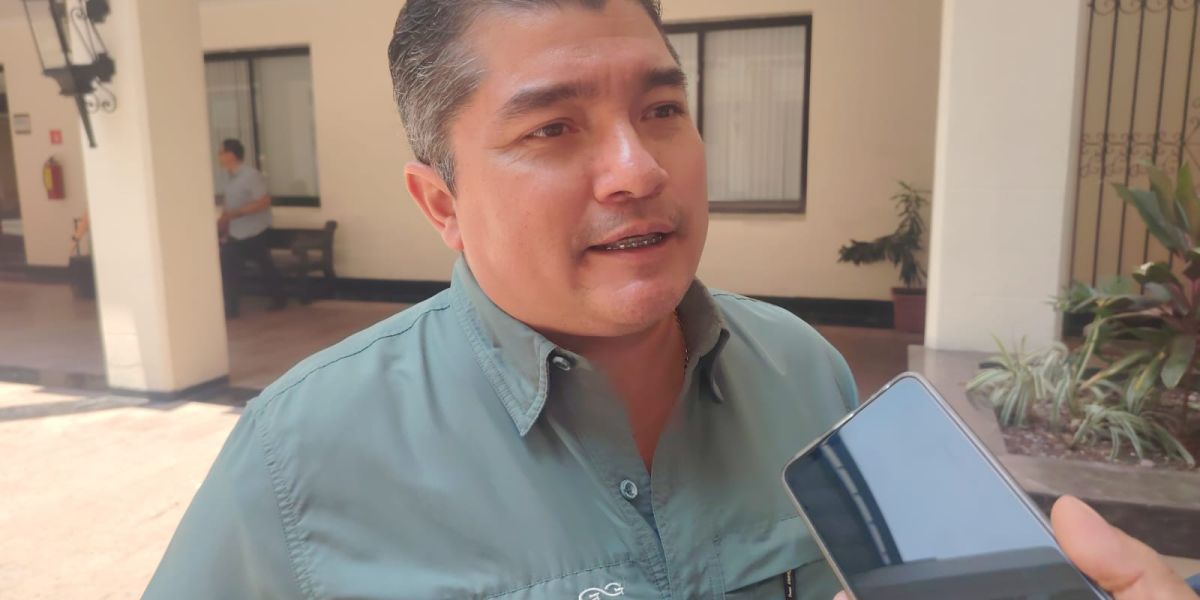 Piden no echar las campanas al vuelo por reapertura de exportación de ganado; Tamaulipas aún deberá esperar