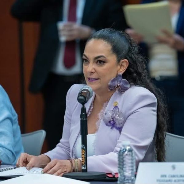 Aprueba Comisión Permanente exhorto de la senadora Olga Sosa, para fortalecer la búsqueda de mujeres, niñas y adolescentes desaparecidas