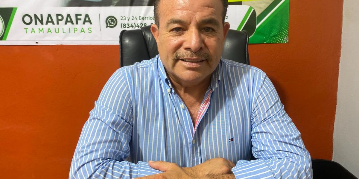 Operan falsos gestores en la regularización de autos; ONAPAFA alerta sobre posibles fraudes
